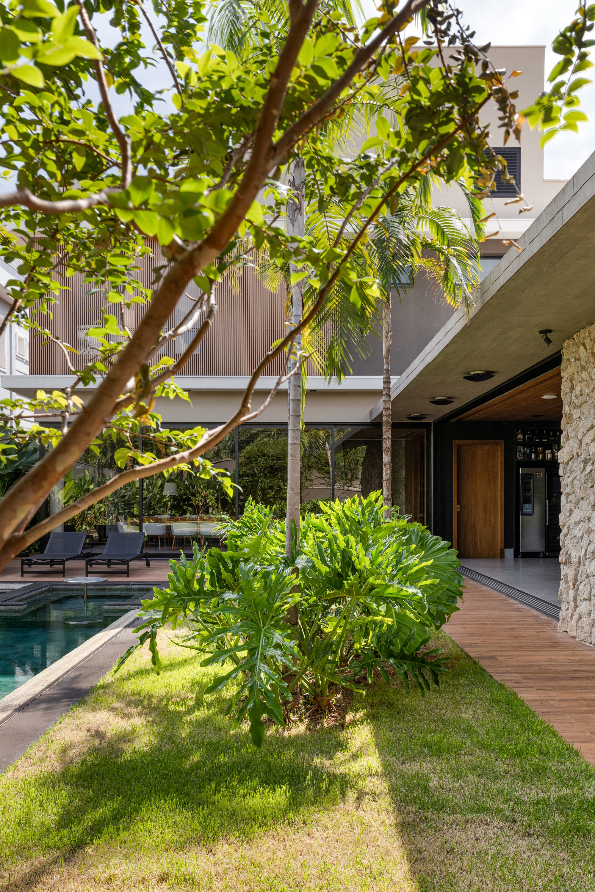Árvore de tronco inclinado emoldura o jardim, com touceira de folhagem de folhas recortadas ao centro, piscina à esquerda e varanda da casa ao fundo.